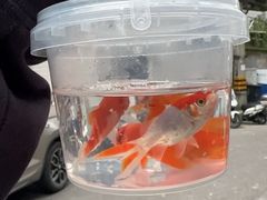-快乐街区(重庆龙湖时代天街店)