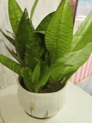 -灰姑娘美甲美睫馆