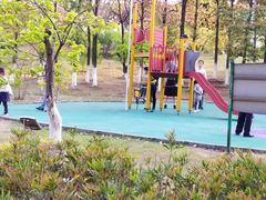 -白塘生态植物园