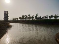 -春花秋色城市公园