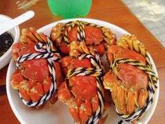 -喜洋洋蟹庄(阳澄湖店)