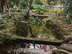 -成都市活水公园