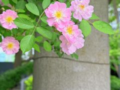 -长阳创谷