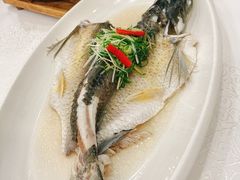 -寻味顺德·南记酒家·传统顺德菜·鱼生(广源路店)