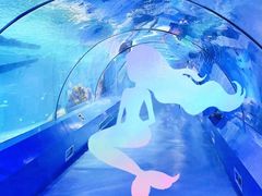 -重庆欢乐海底世界