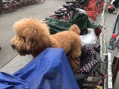 -太原茂业天地购物中心