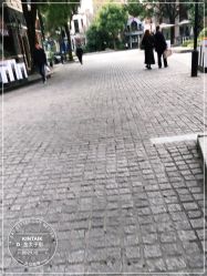 -金太子形象设计