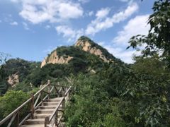 -大岭沟猕猴桃谷风景区
