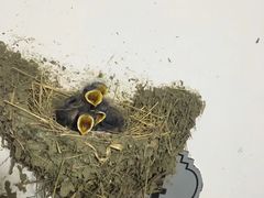 -东戴河风景区-止锚湾