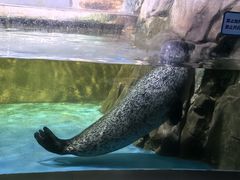-常州海昌海洋探索馆