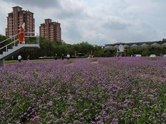 -龙口南山旅游景区