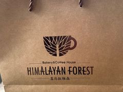 -喜马拉雅森HIMALAYAN FOREST