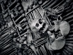 -羊家胡同·龙虾烧烤火锅(龙汇路店)