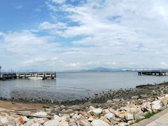 -深圳湾公园(南山区)