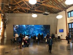 -西雅图水族馆