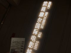 -武商摩尔影城(国广IMAX激光店)