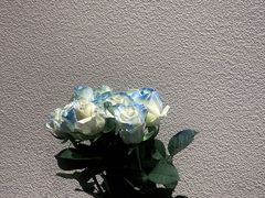 -必胜客(山大路店)