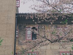 -武汉大学-樱园