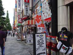 -秋叶原电器街