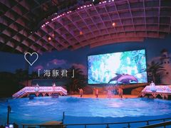 -海合安武汉极地海洋公园