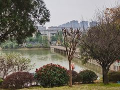-枫香湖儿童公园