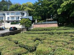 -杭州西湖风景名胜区-满觉陇四眼井