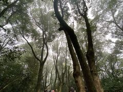 -岳麓山风景名胜区