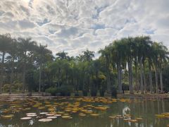 -中国科学院西双版纳热带植物园