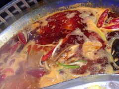 -辣伍鲜毛肚老火锅(元一店)