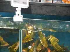 -盒马鲜生(曜一城店)