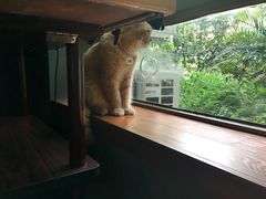 -咖法森林·咖啡  酒吧(天河店)