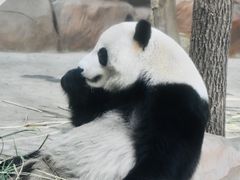 -南宁市动物园