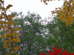 -西南交通大学九里校区-篮球场