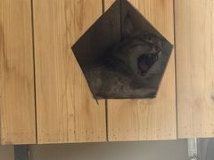 -青藏高原野生动物园