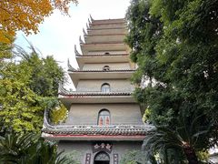 -生宇山珍野生菌汤锅•始于2002(双流古塔店)