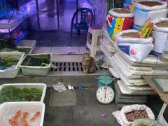 -青石桥花鸟鱼虫市场(叠翠城店)