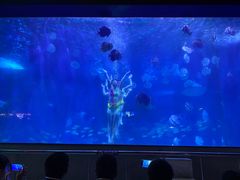 -蓬莱欧乐堡海洋极地世界