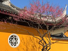 -无锡梅园公园