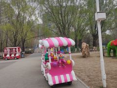 -长白岛森林公园