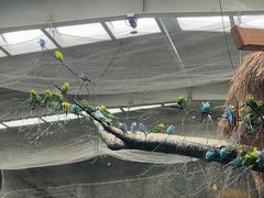 -南宫五洲植物乐园