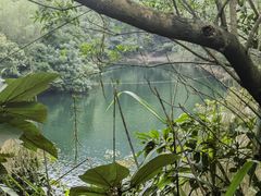 -鼎湖山风景区