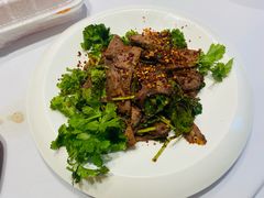 -张烤鸭·川菜·非遗冒烤鸭(青石桥店)