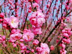 -云岗森林公园