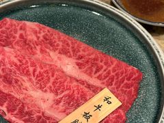 -老乾杯(深圳湾万象城店)