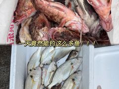 -日照世帆赛基地