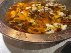 -雲蜀龙阁·金牌水煮鱼(方庄店)