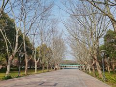 -蠡湖中央公园