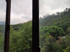 -鲤鱼塘农家山庄