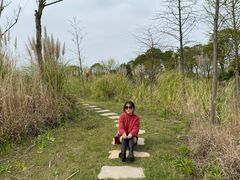 -上海长兴岛郊野公园