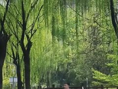 -西安市长乐公园
